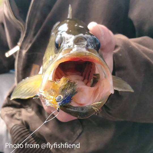 Fish-Skull® Living Eyes™