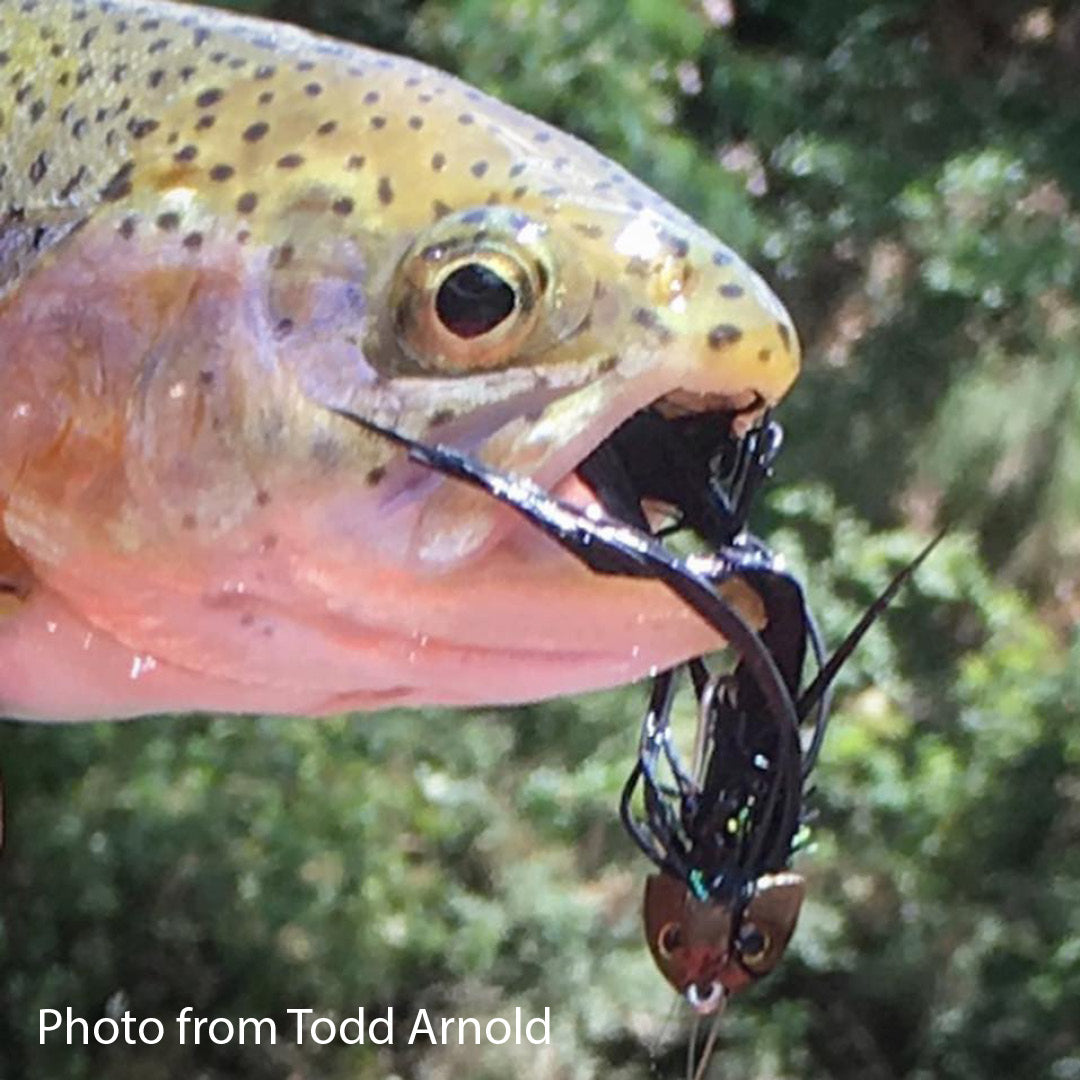 Fish-Skull® Sculpin Helmet™