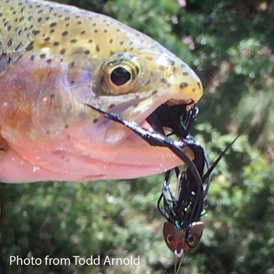 Fish-Skull® Sculpin Helmet™