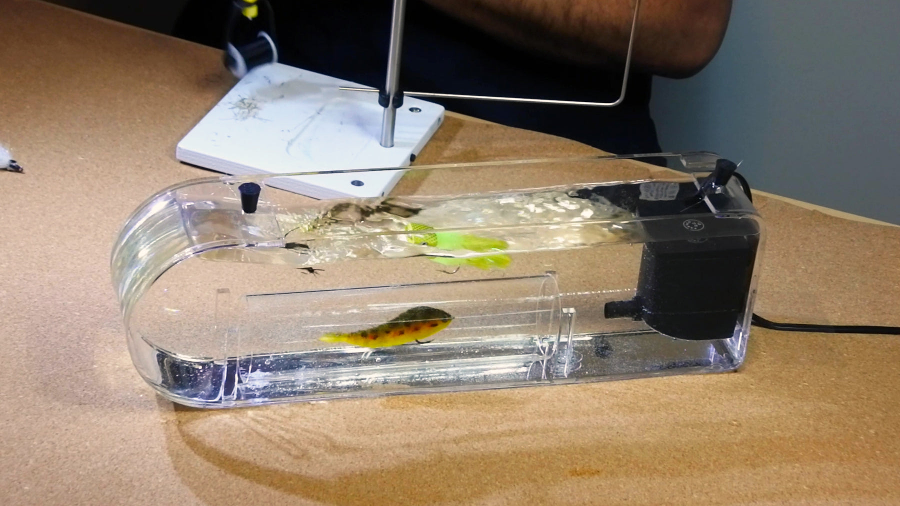 fish lure testing The Fly Tester™