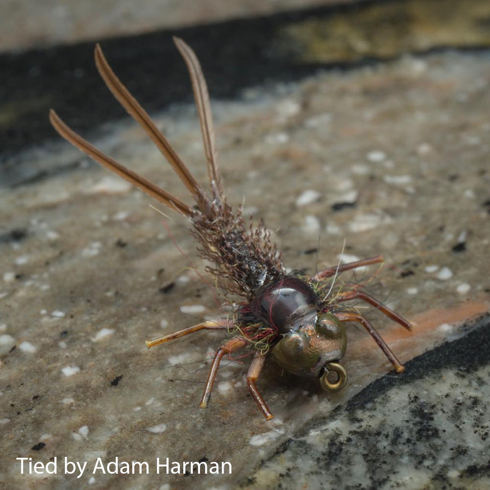 Nymph-Head® Evolution™ Mayfly Clinger & Crawler tungsten beadheads