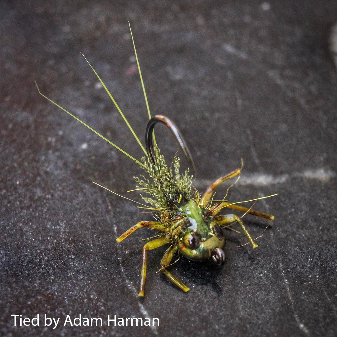 Nymph-Head® Evolution™ Mayfly Clinger & Crawler tungsten beadheads