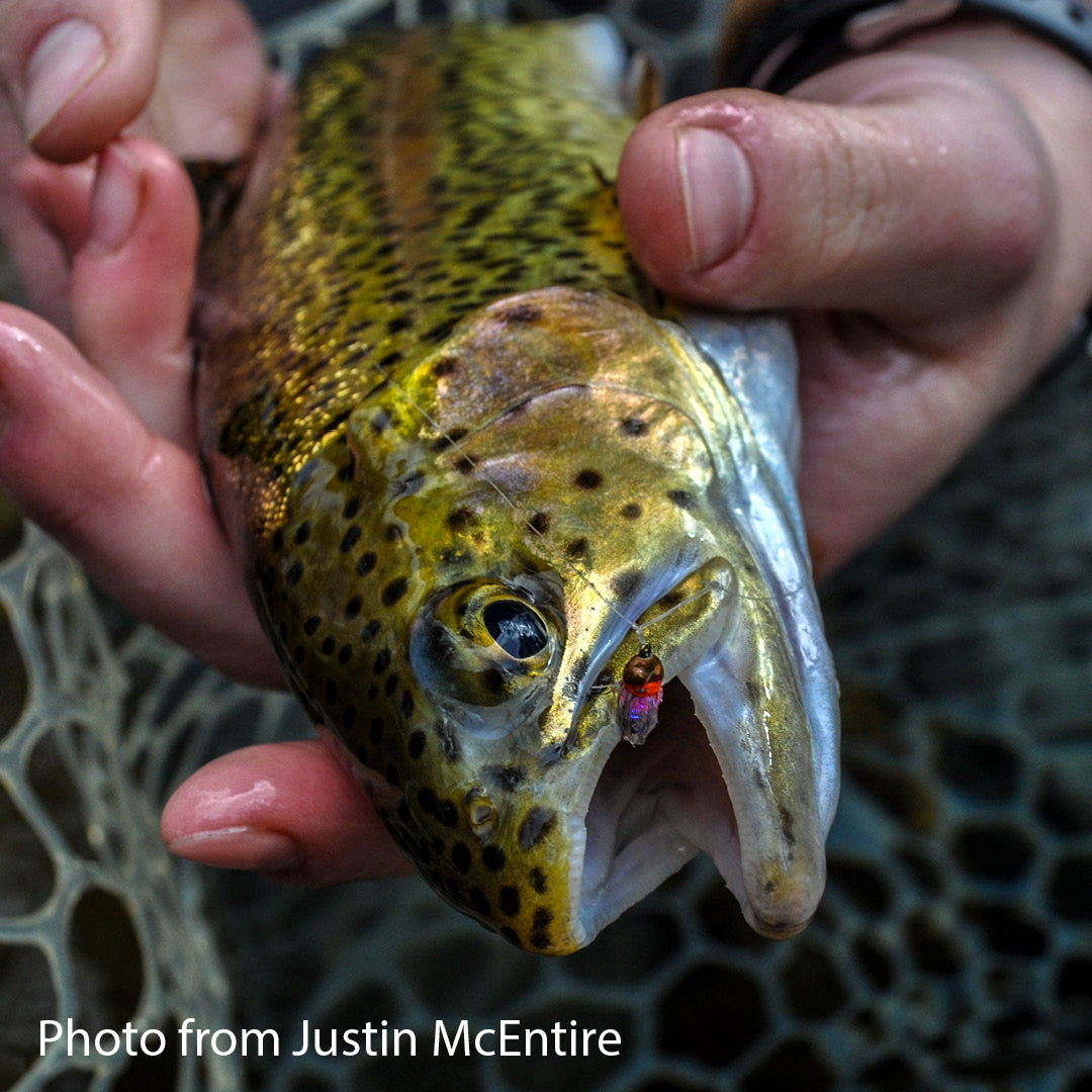 Nymph-Head® Evolution™ Mayfly Clinger & Crawler tungsten beadheads