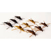Nymph-Head® Evolution™ Stonefly tungsten beadheads - Flymen Fishing Company
 - 7